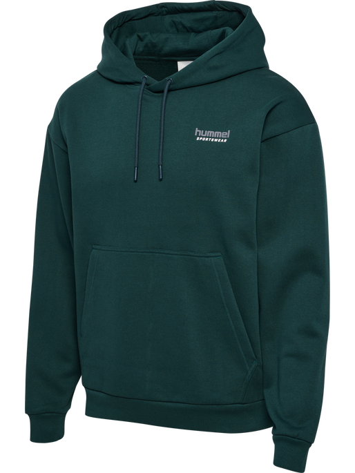 hmlLOOSE HOODIE SPORTSWEAR, PONDEROSA PINE, packshot
