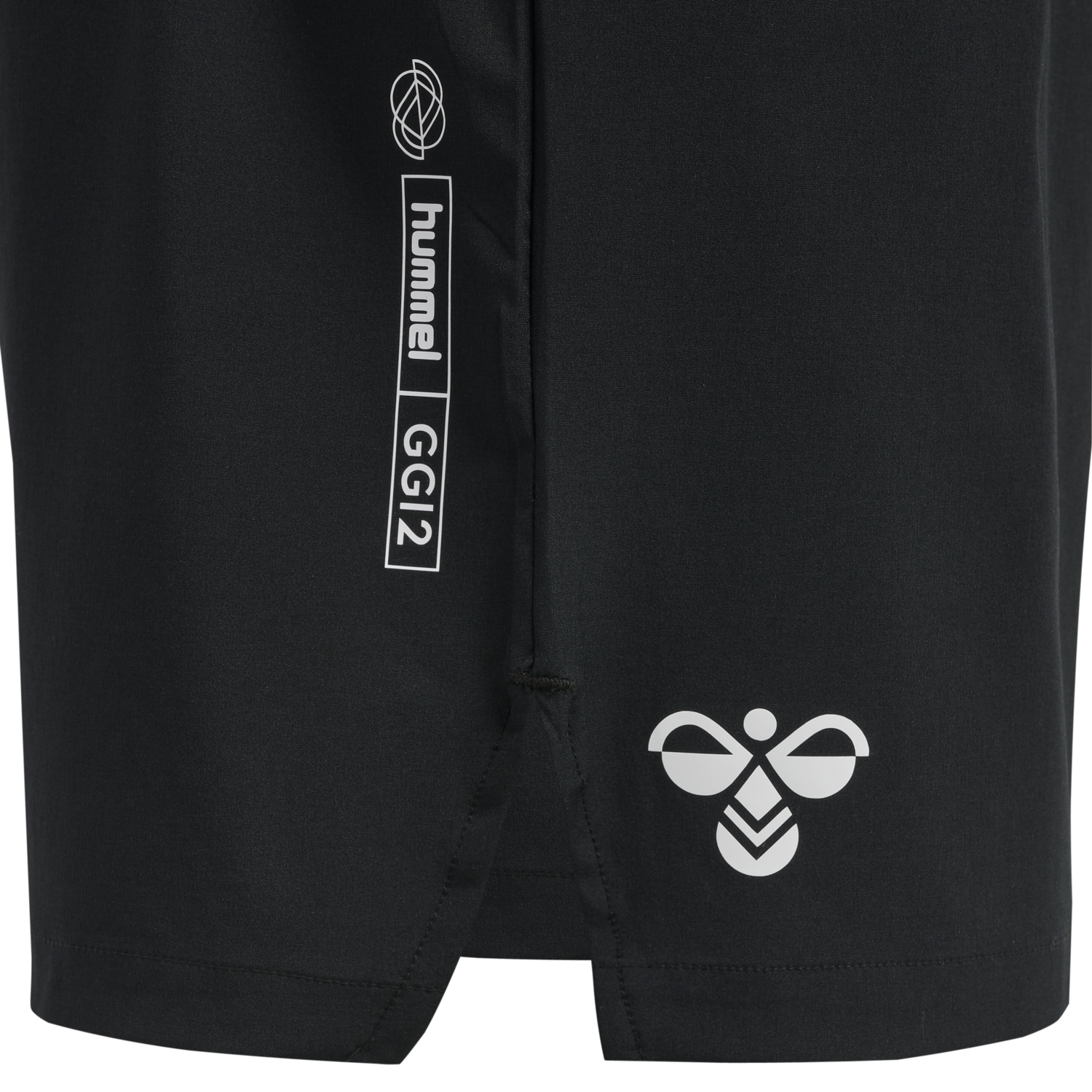 hmlGG12 TRAINING SHORTS, 2001, packshot