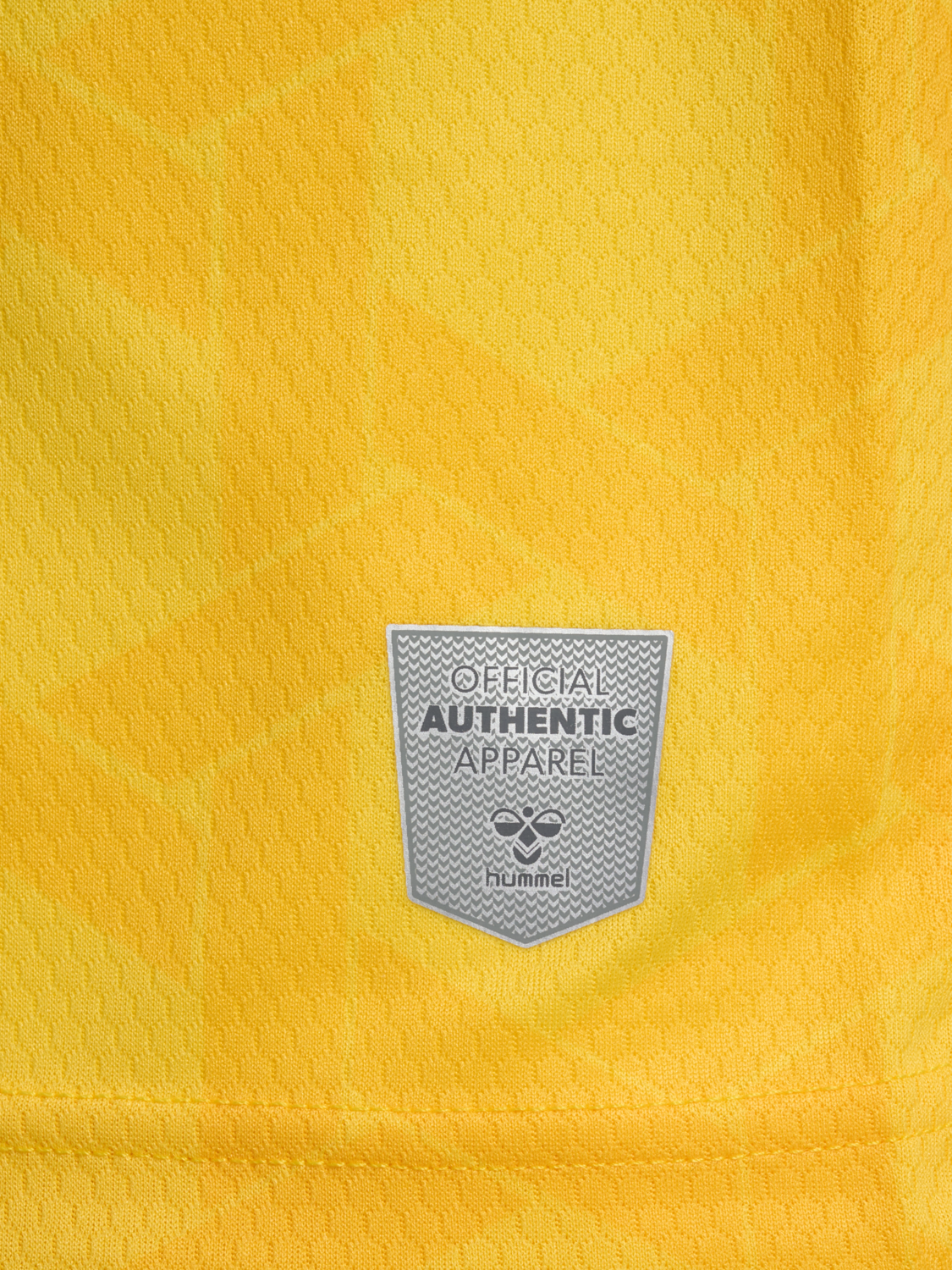 1FCK 23/24 GK JERSEY S/S, DANDELION, packshot