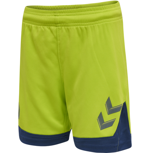 Hummel hot sale shorts junior