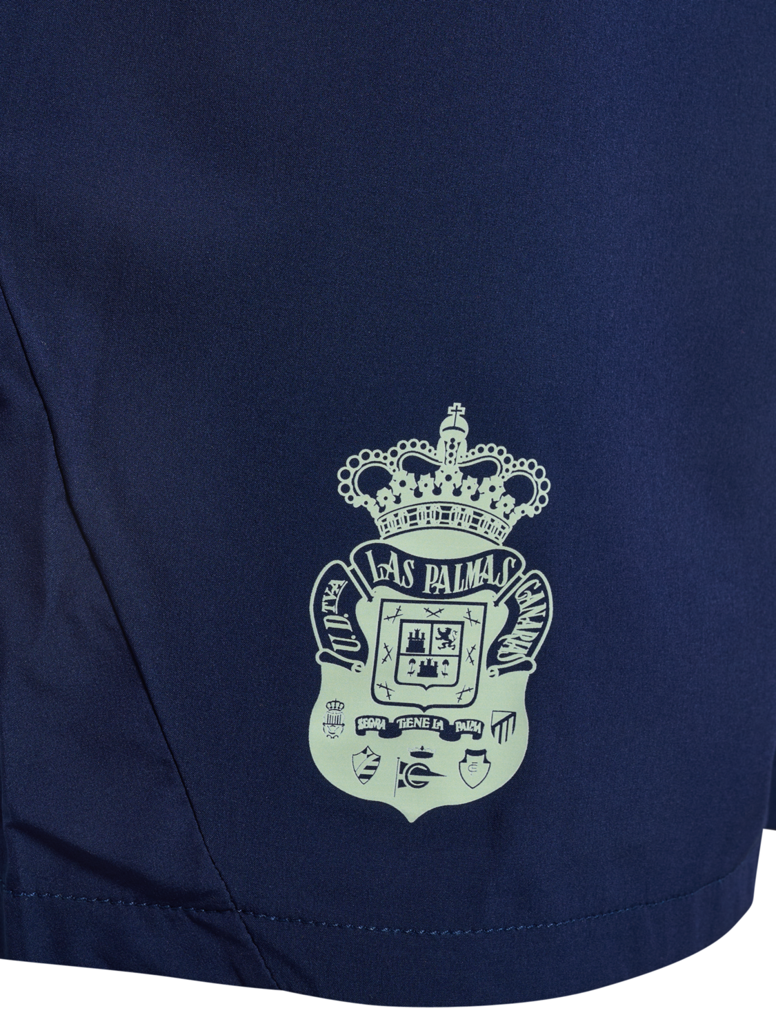 hmlPRO TRAINING SHORTS, !MARINE/PATINA GREEN, packshot