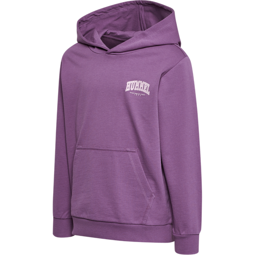 hmlFAST HOODIE, ARGYLE PURPLE, packshot