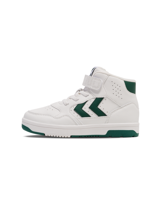 CAMDEN HIGH JR, GARDEN TOPIARY, packshot