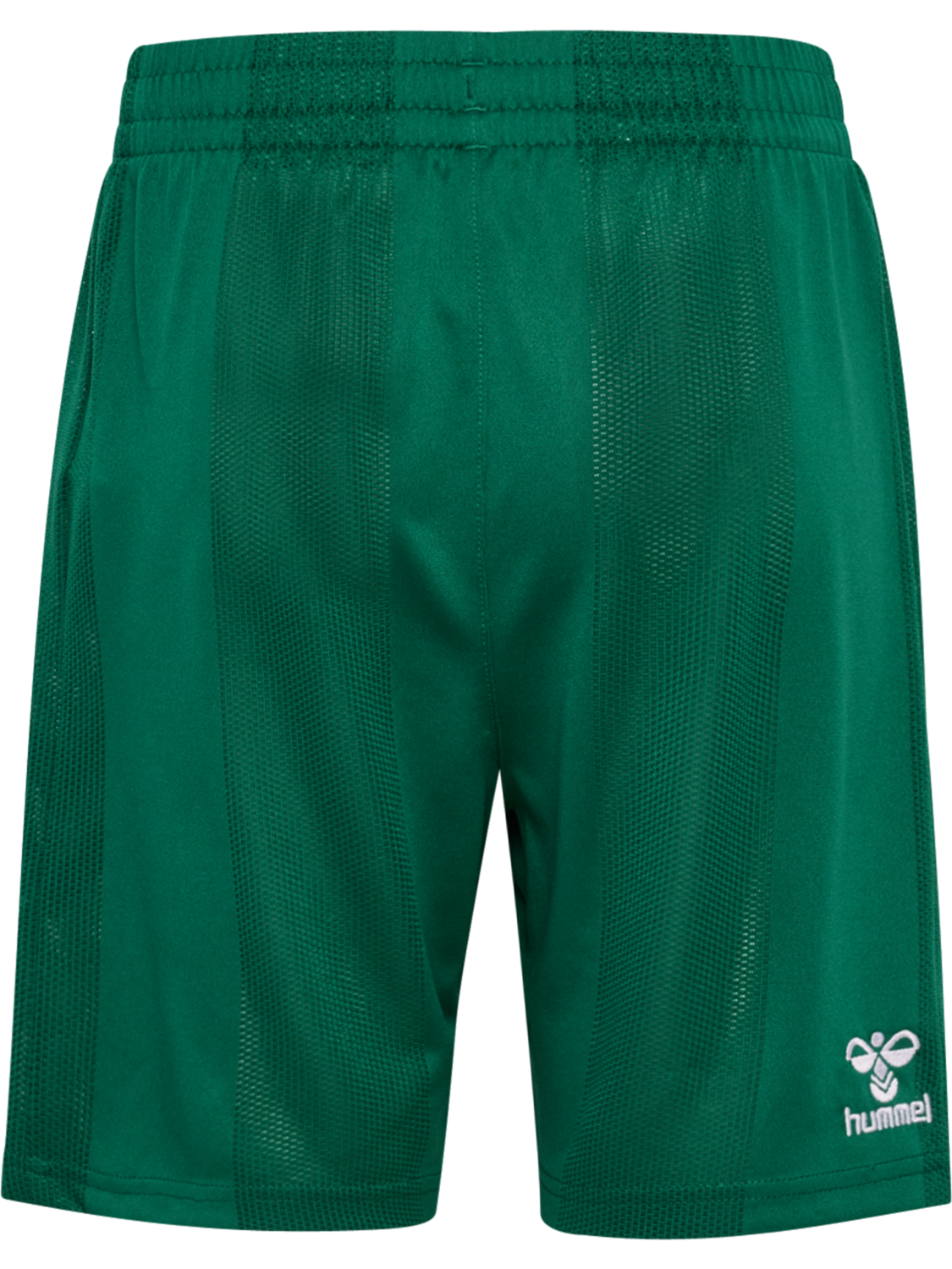 DBU 26 GK SHORTS KIDS, EVERGREEN, packshot