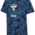 ENSIGN BLUE