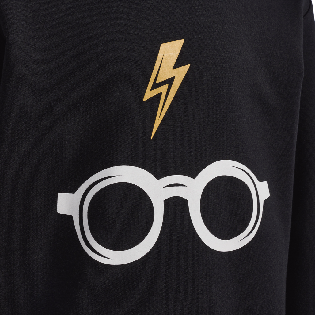 hmlHARRY POTTER HOODIE