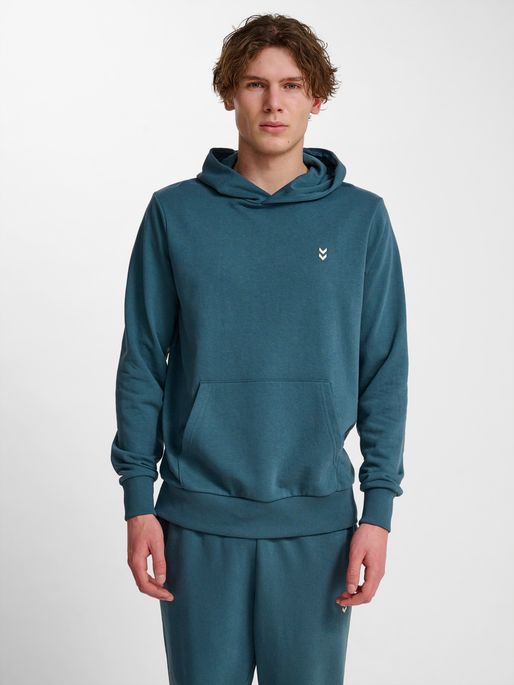 hmlPULSE SWEAT HOODIE, STARGAZER, model