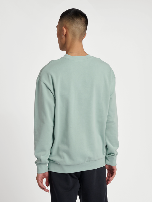 hmlHIVE OWEN SWEATSHIRT, CLOUD BLUE, model