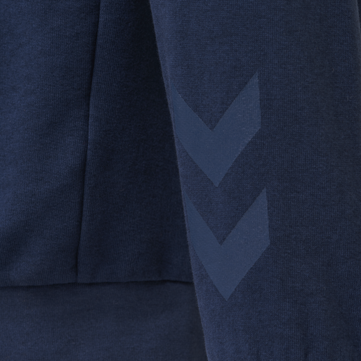 hmlACTIVE KIDS COTTON HOODIE, 7013, packshot