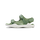 HEDGE GREEN