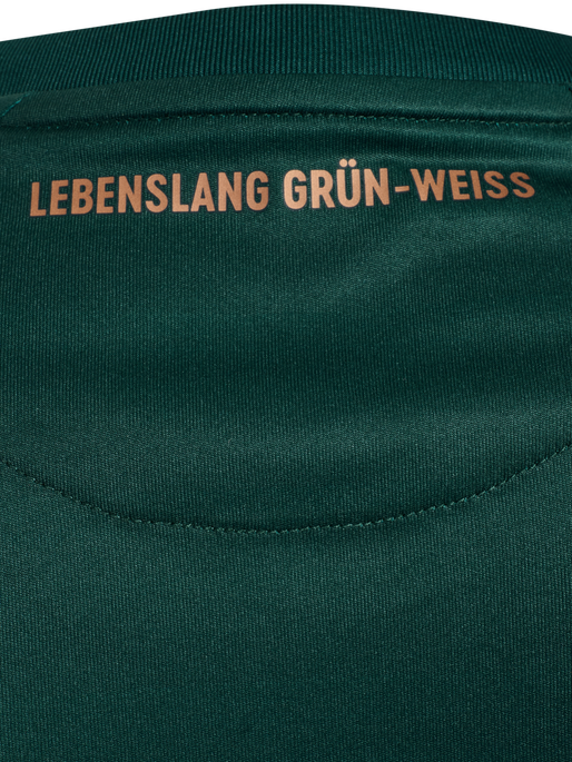 WER 25/26 3RD JERSEY S/S, SCARAB WER 25/26 3RD JERSEY S/S, SCARAB, packshot