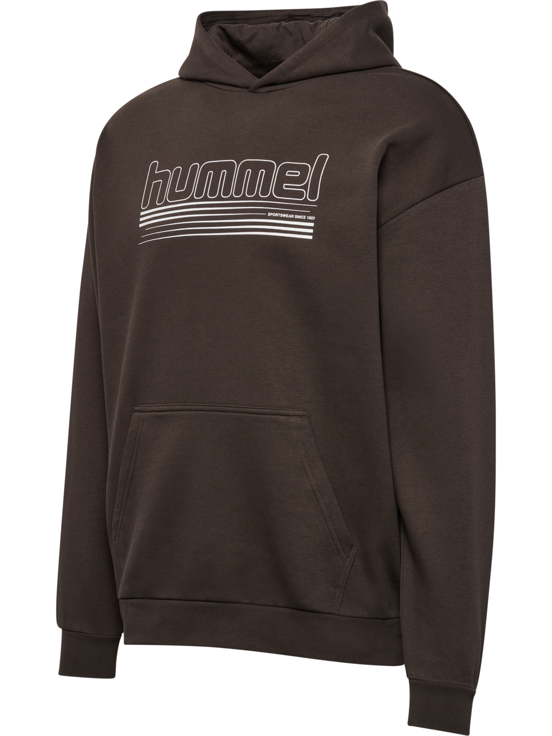 hmlSW GRAPHIC HOODIE, AFTER DARK, packshot