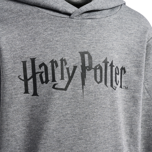 Harry 2025 potter hoodie