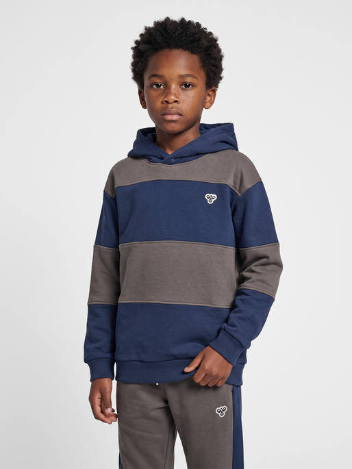 hmlJR LOOSE STRIPE HOODIE BEE, DRESS BLUES, model