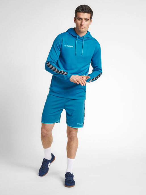 hmlAUTHENTIC POLY HOODIE, CELESTIAL, model