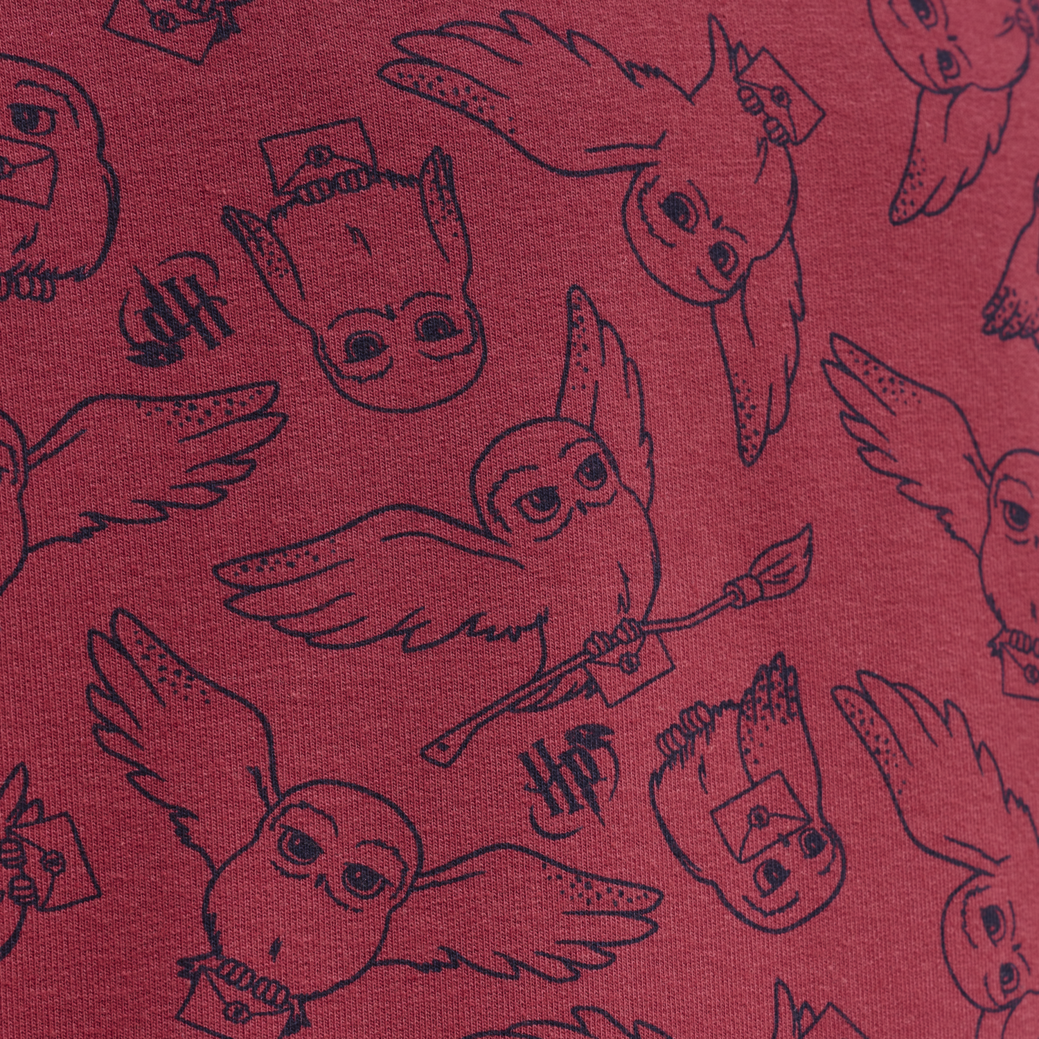 hmlHARRY POTTER AOP HOODIE, EARTH RED, packshot