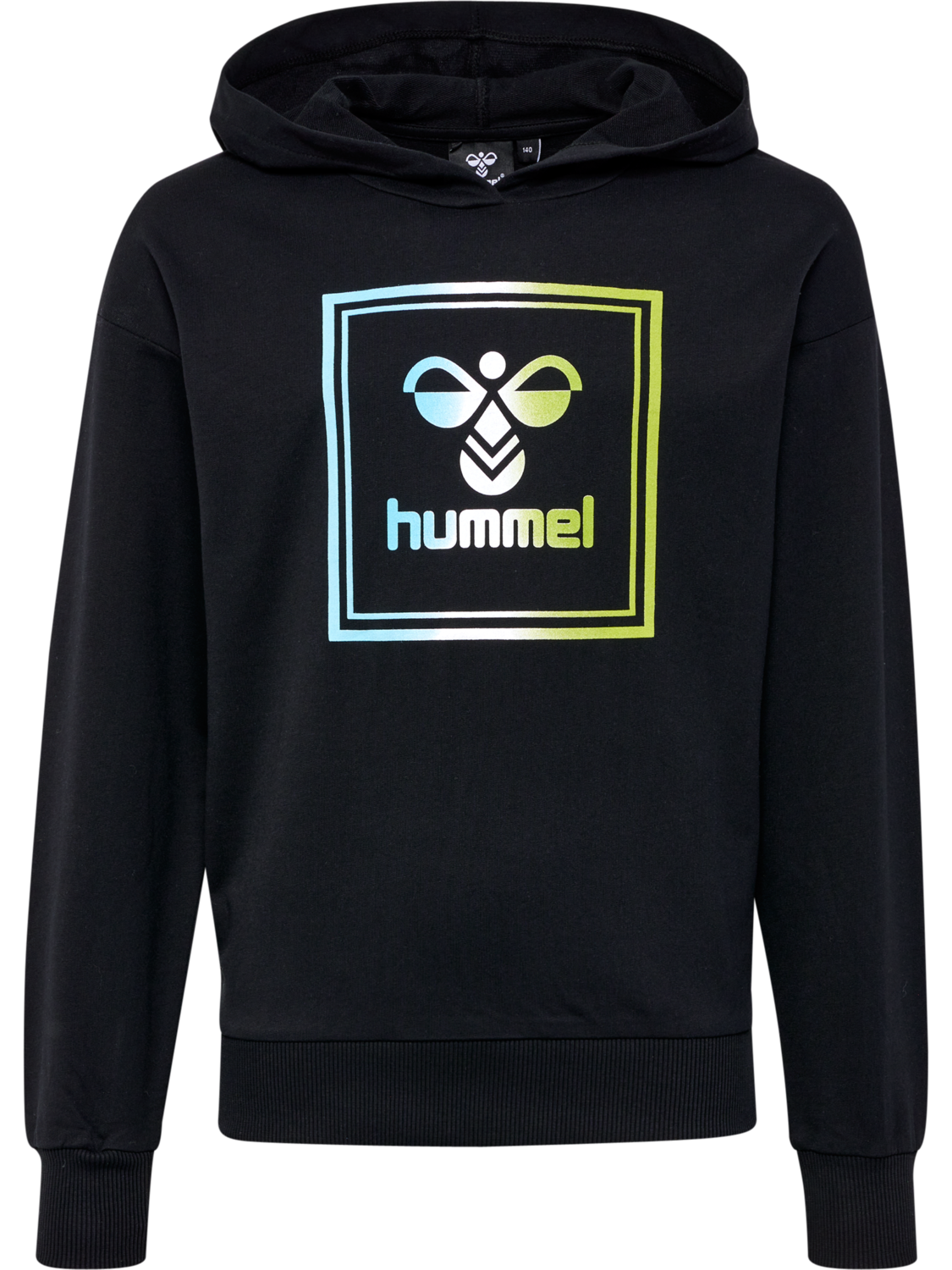 HMLLEIDEN HOODIE, BLACK IRIS/OIL BLUE, packshot