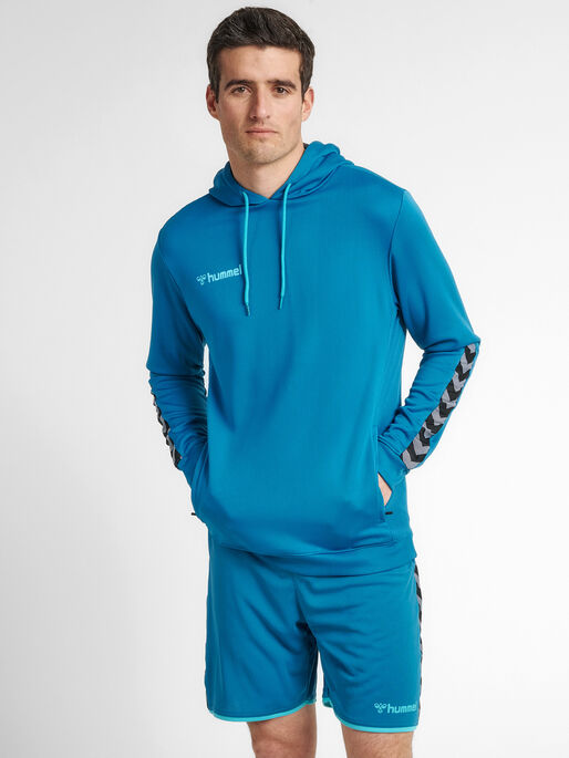 hmlAUTHENTIC POLY HOODIE, CELESTIAL, model