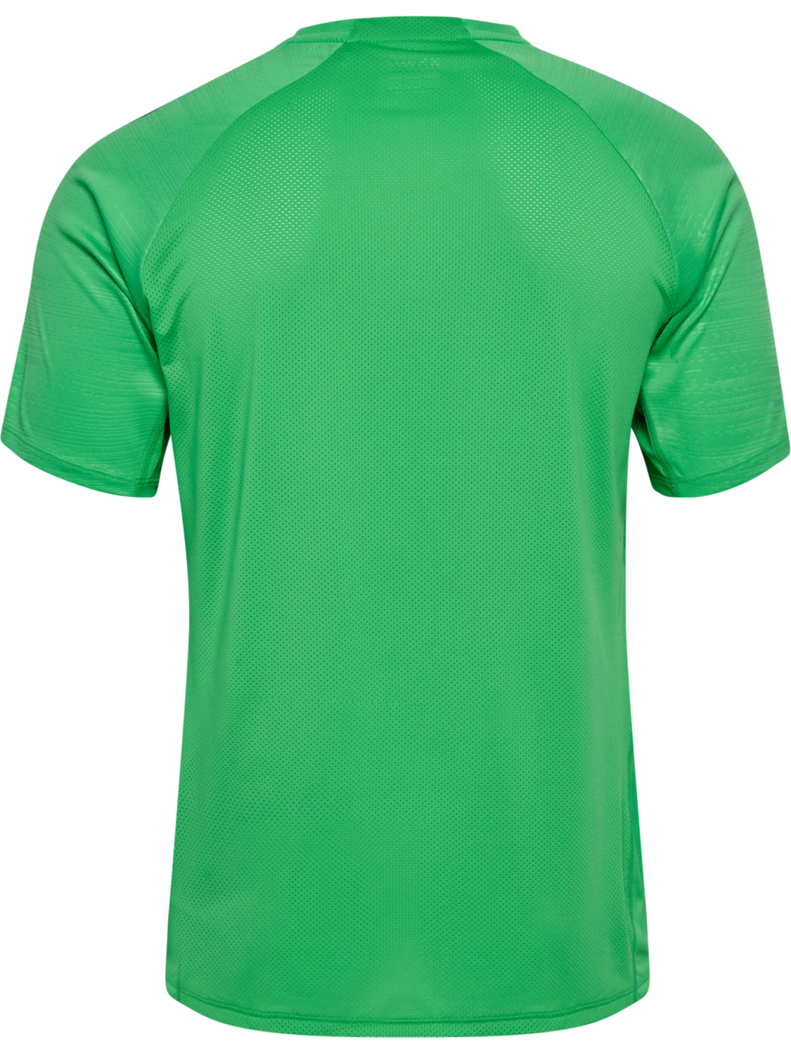 WER 26/27 TR PRO JERSEY S/S, ISLAND GREEN WO SPONSOR, packshot