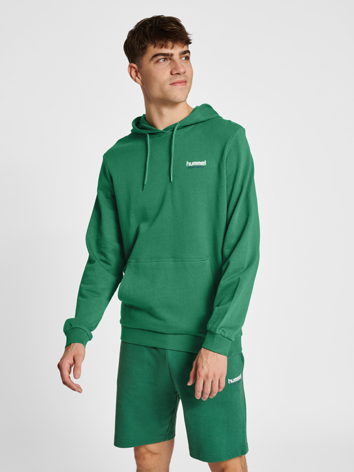 hmlLGC GABE HOODIE, FOLIAGE GREEN, model