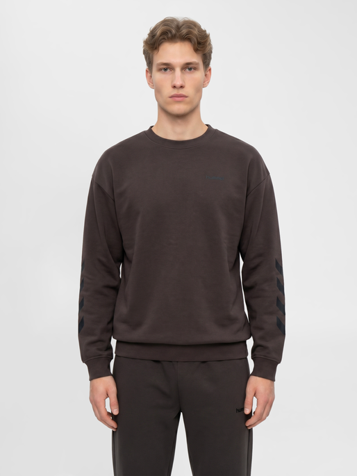 hmlKEEPER CHEVRON SWEATSHIRT, SHALE, model