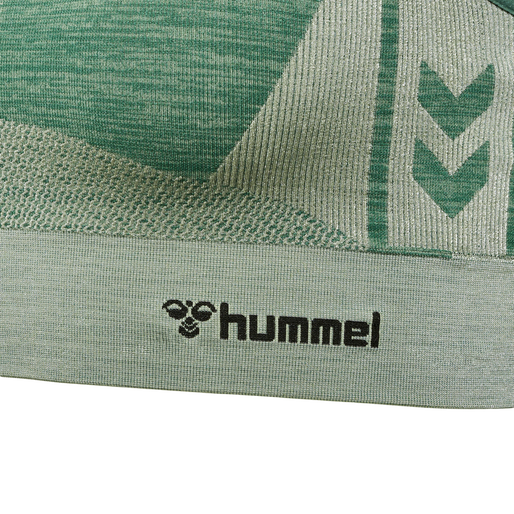 hmlCLEA SEAMLESS  SPORTS TOP, LAUREL WREATH, packshot