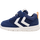 NAVY PEONY