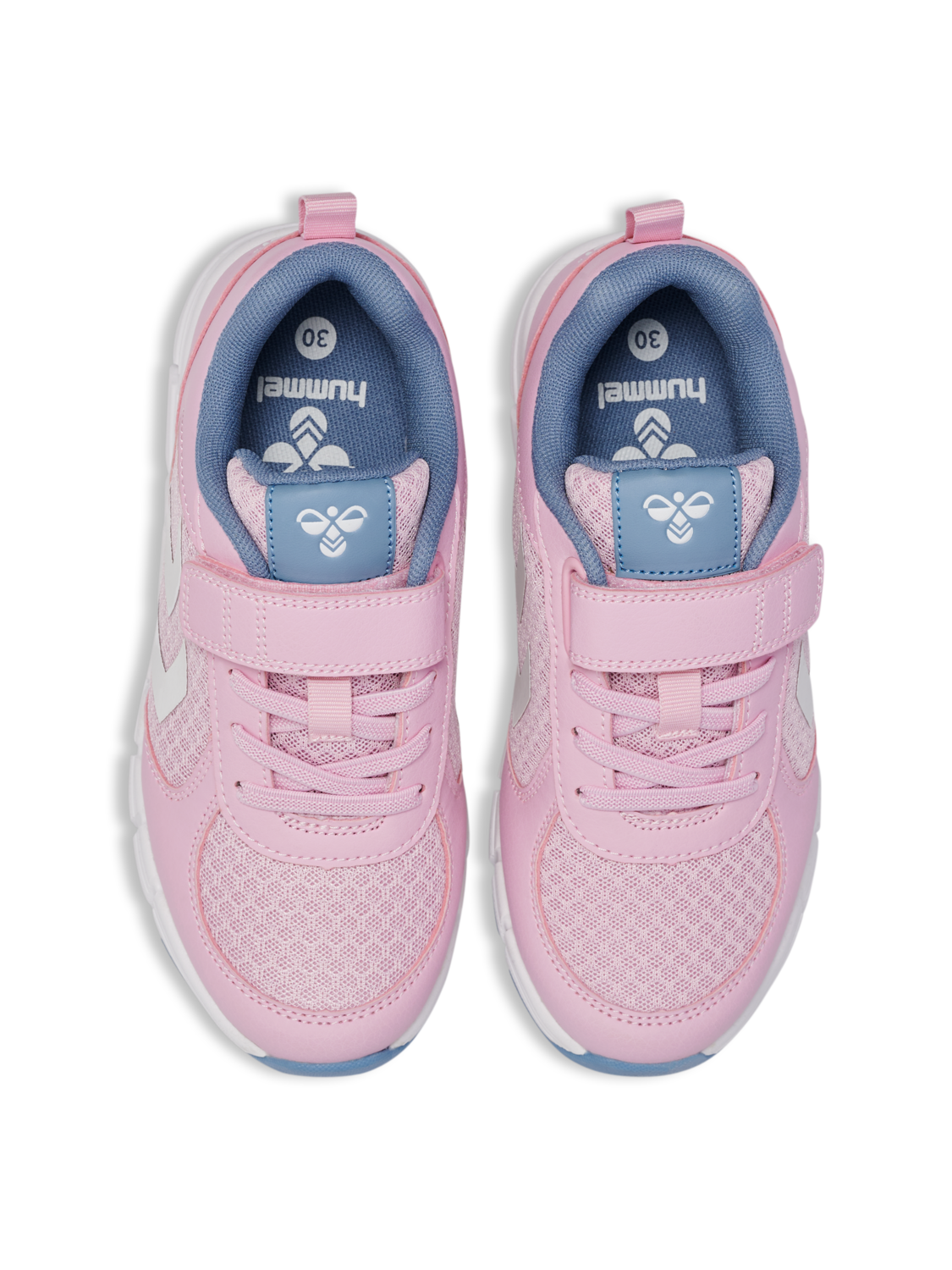 SPEED JR, WINSOME ORCHID, packshot