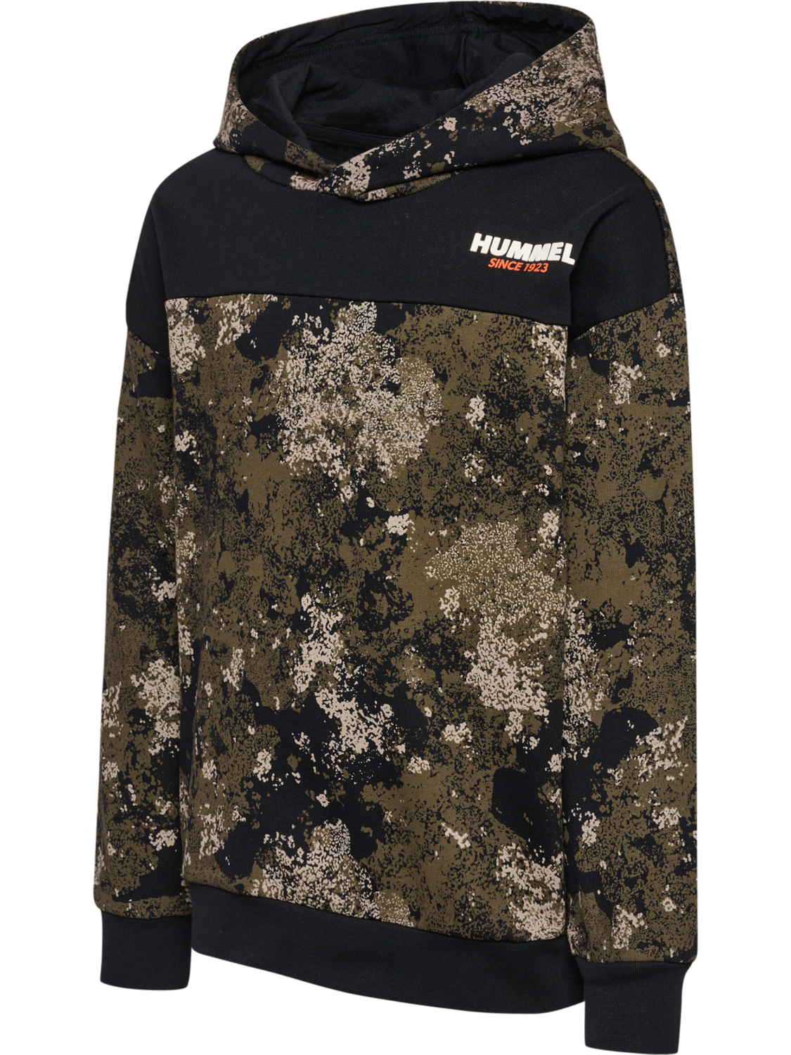 hmlAGGE HOODIE, 2001, packshot