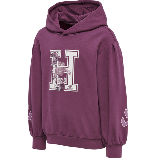 hmlASTROLOGY HOODIE, 4758, packshot