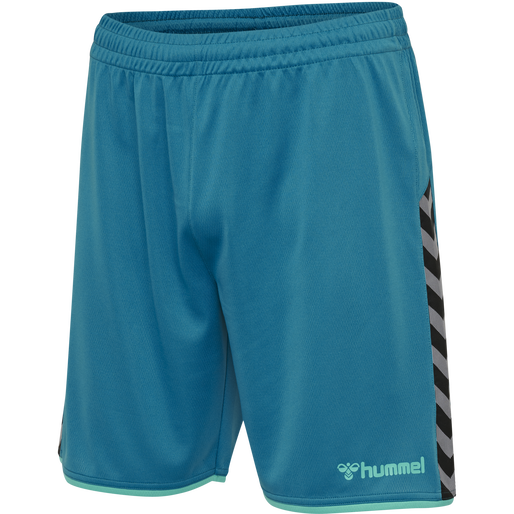 hmlAUTHENTIC POLY SHORTS, CELESTIAL, packshot