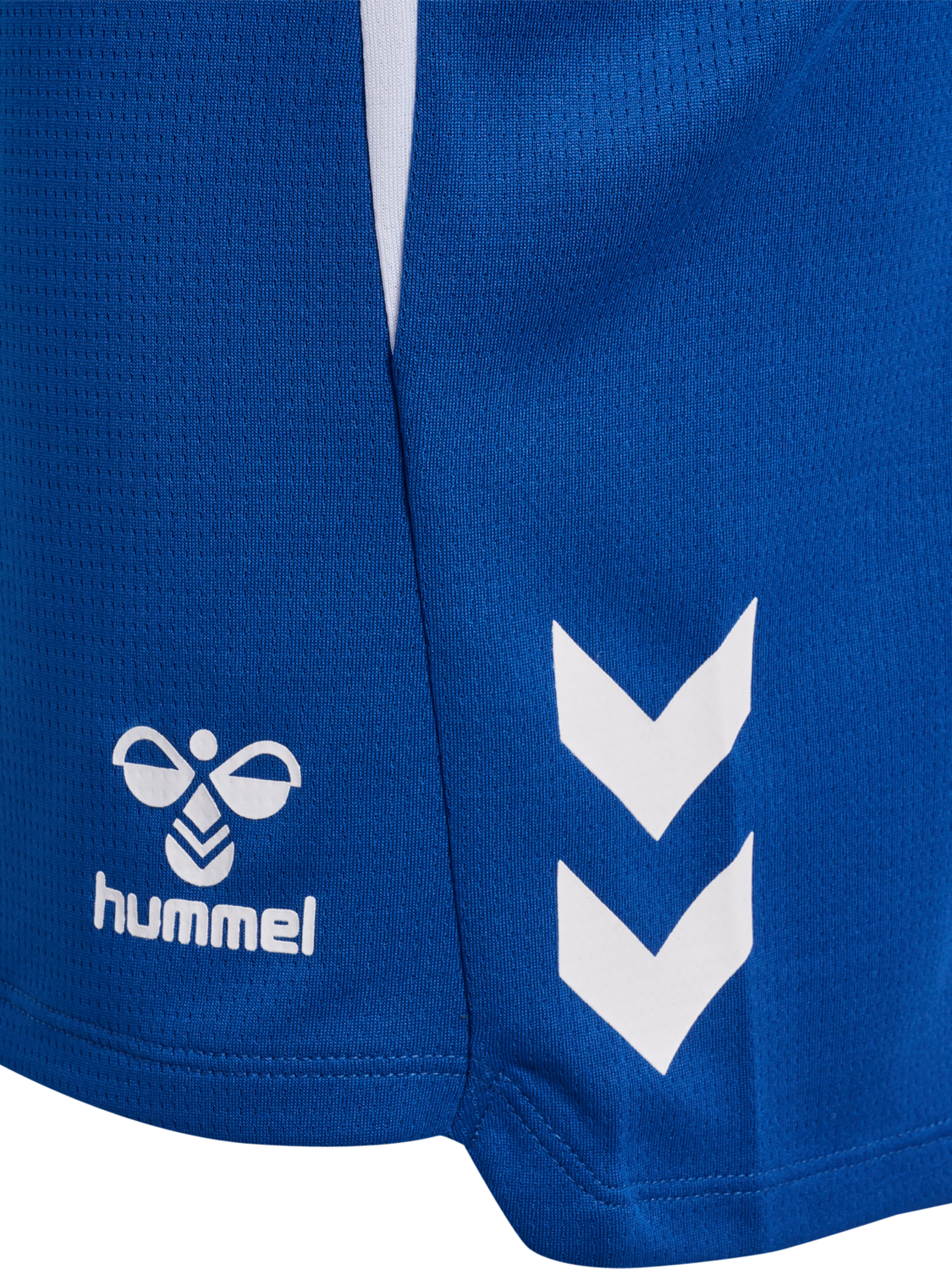 hmlLEAD 2.0 SHORTS WOMAN, TRUE BLUE, packshot