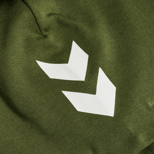 hmlPERRY BEANIE, OLIVE NIGHT, packshot