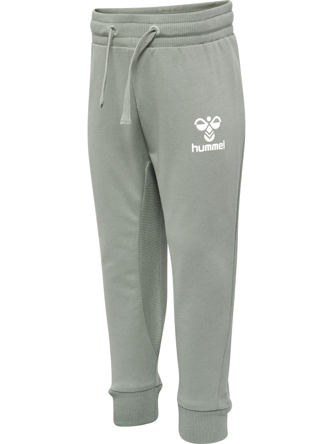 hmlAPPLE PANTS, SHADOW, packshot