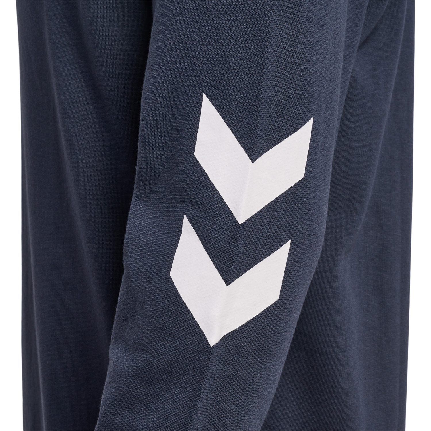 hmlLEGACY LOGO HOODIE PLUS, BLUE NIGHTS, packshot