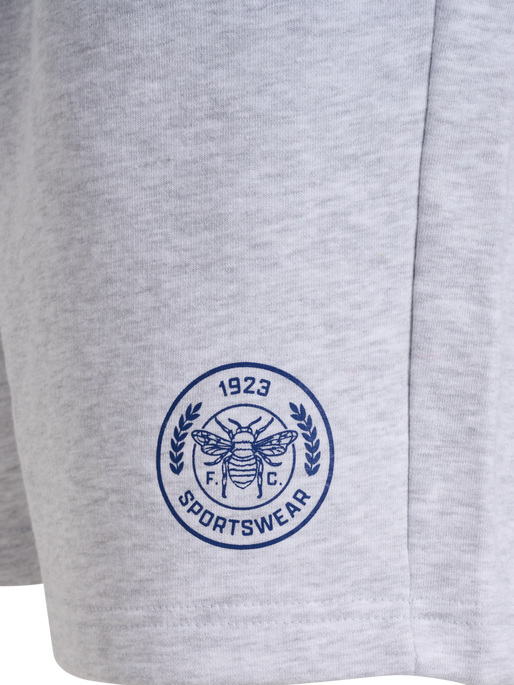 hmlSWARM SHORTS, LIGHT GREY MELANGE hmlSWARM SHORTS, LIGHT GREY MELANGE, packshot