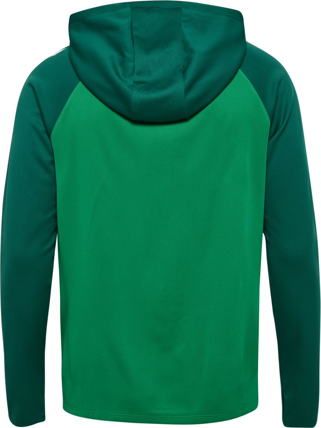 hmlLEAD 2.0 ZIP HOODIE, JELLY BEAN/EVERGREEN, packshot