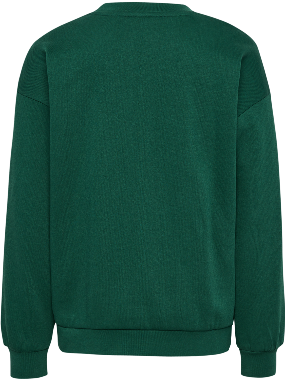 hmlKASON SWEATSHIRT, RAIN FOREST, packshot