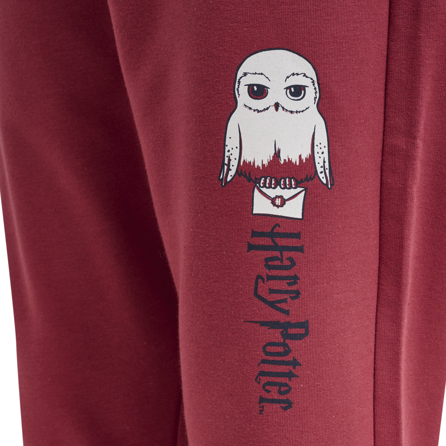 hmlHARRY POTTER ON PANTS, EARTH RED, packshot