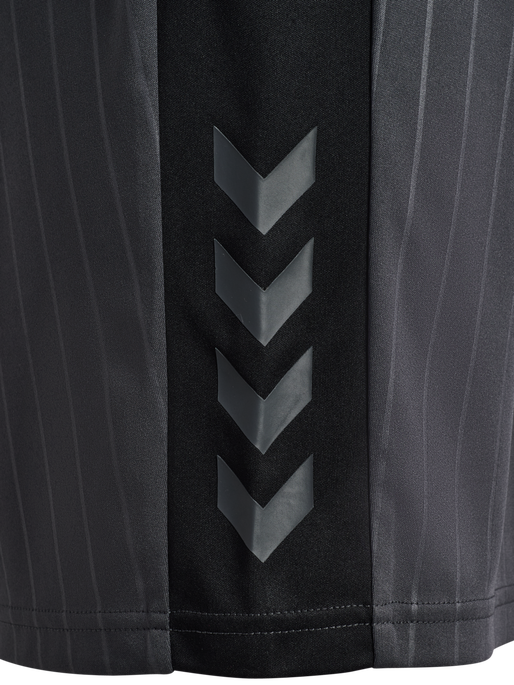 hmlPULSE STRIPE BLOCKED SHORTS, EBONY/BLACK hmlPULSE STRIPE BLOCKED SHORTS, EBONY/BLACK, packshot