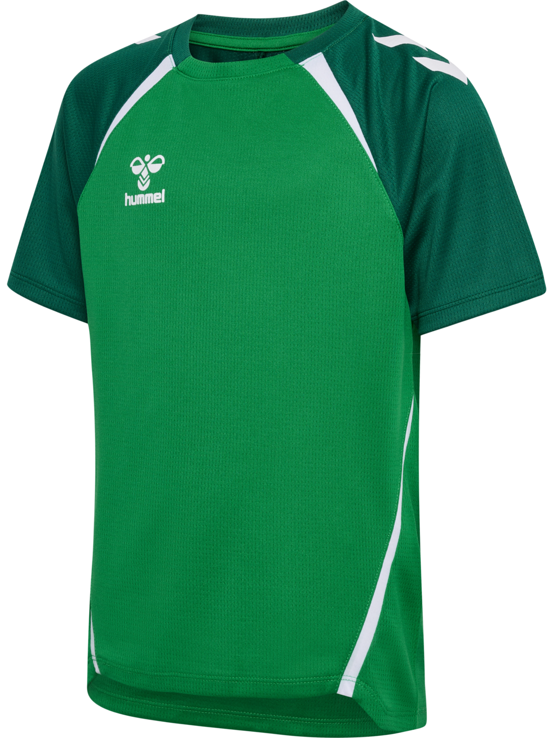 JELLY BEAN/EVERGREEN