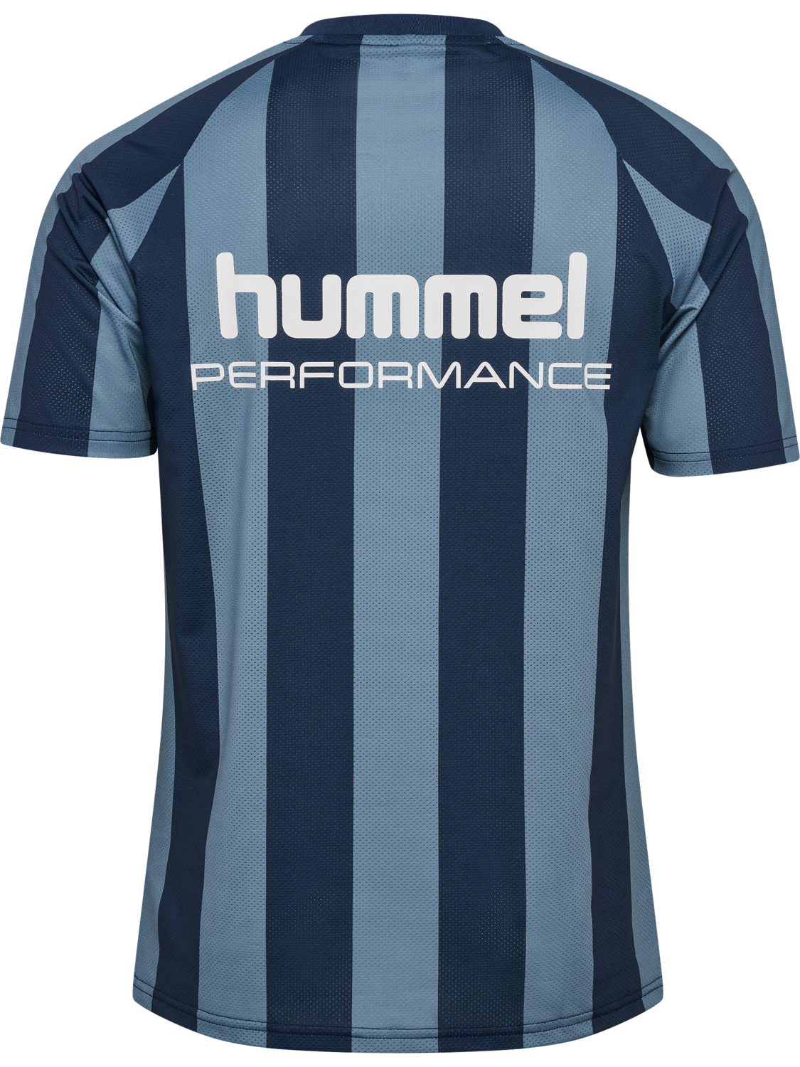 hmlPULSE MESH T-SHIRT S/S, BLUE MIRAGE/DRESS BLUE, packshot