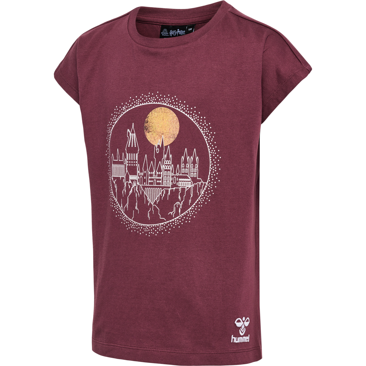 hmlHARRY POTTER T-SHIRT, CATAWBA GRAPE, packshot
