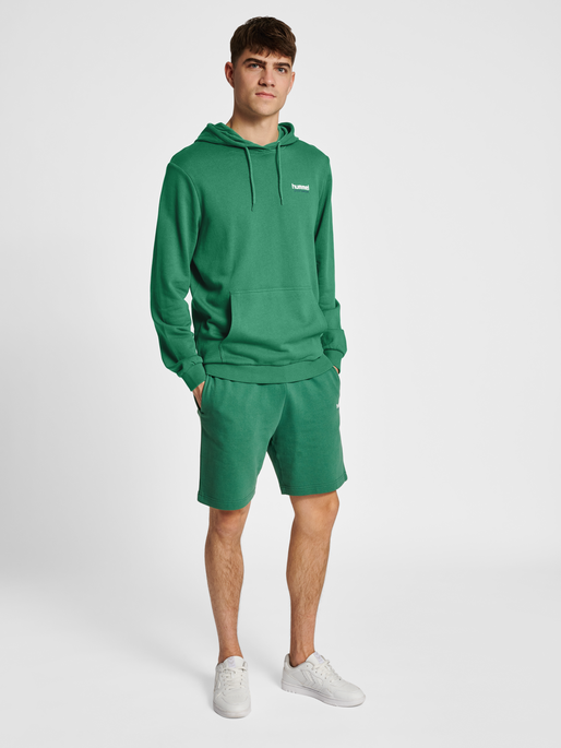 hmlLGC GABE HOODIE, FOLIAGE GREEN, model