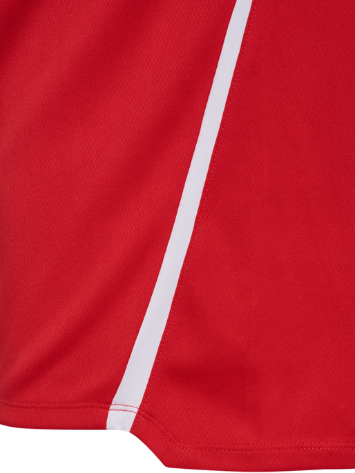 hmlLEAD 2.0 HALF ZIP, TRUE RED/MAROON, packshot