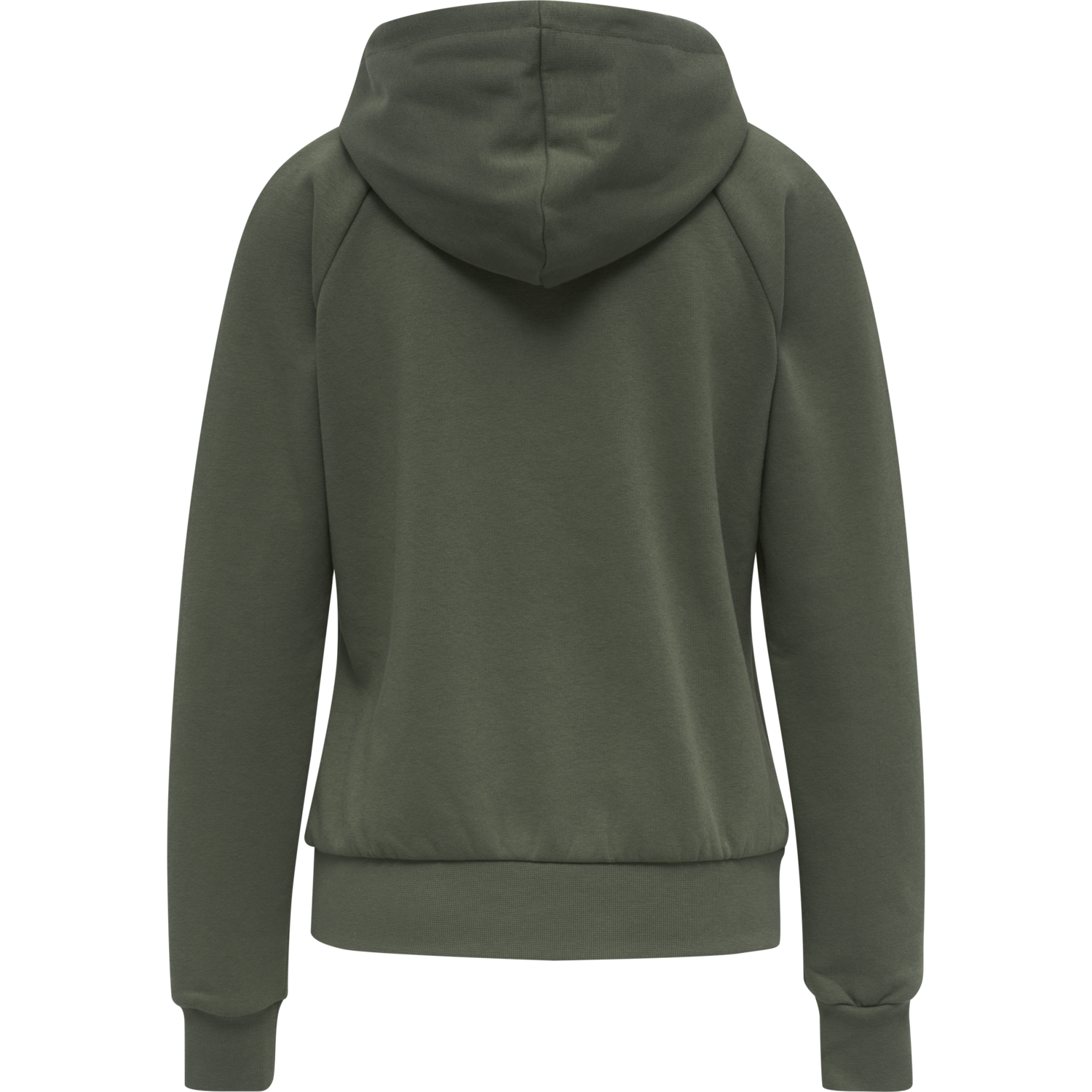 hmlNONI HOODIE, BEETLE, packshot