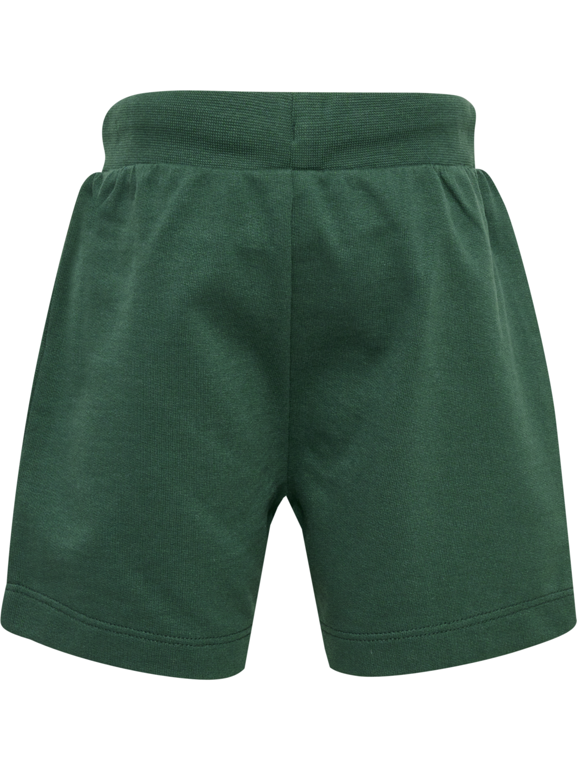 hmlTRUE SHORTS, GARDEN TOPIARY, packshot