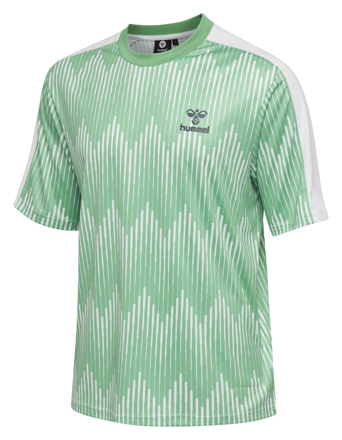 hmlBLAZE T-SHIRT S/S, 5317, packshot