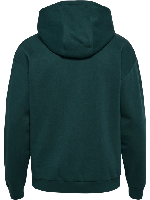 hmlLOOSE HOODIE SPORTSWEAR, PONDEROSA PINE, packshot