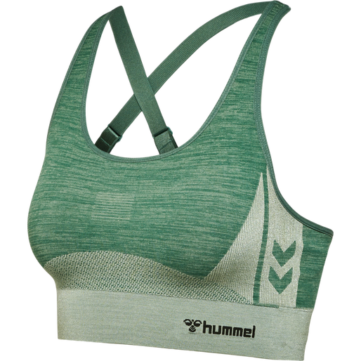 hmlCLEA SEAMLESS  SPORTS TOP, LAUREL WREATH, packshot